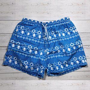 Chubbies Men's Shorts - The Mazel Tovs (Hanukkah Design) 5.5" Inseam - Large